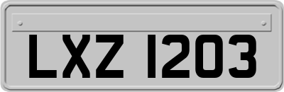 LXZ1203