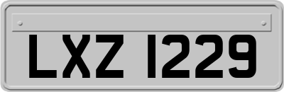 LXZ1229