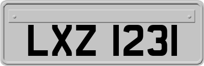 LXZ1231
