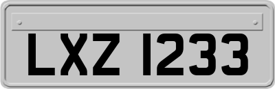 LXZ1233