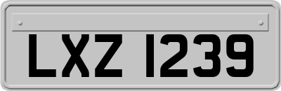 LXZ1239