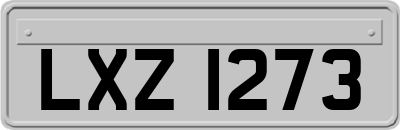 LXZ1273