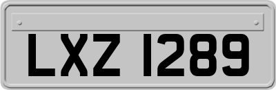 LXZ1289