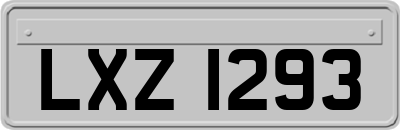 LXZ1293