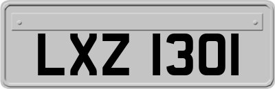 LXZ1301