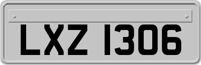 LXZ1306