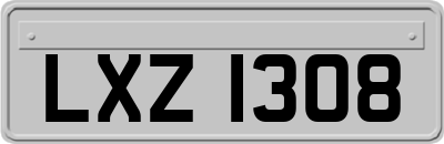 LXZ1308