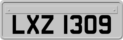 LXZ1309