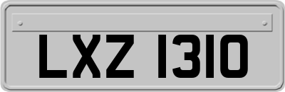 LXZ1310