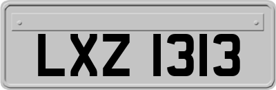 LXZ1313