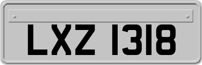 LXZ1318