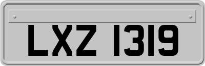 LXZ1319