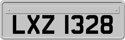 LXZ1328