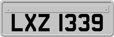 LXZ1339