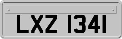 LXZ1341