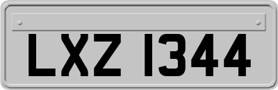 LXZ1344