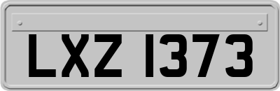 LXZ1373