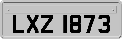 LXZ1873