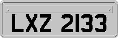 LXZ2133