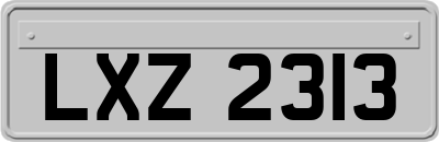 LXZ2313