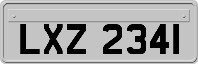LXZ2341