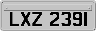 LXZ2391