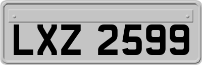 LXZ2599