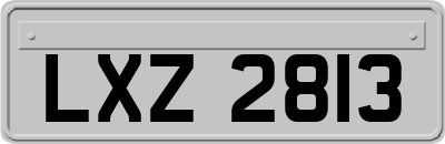 LXZ2813