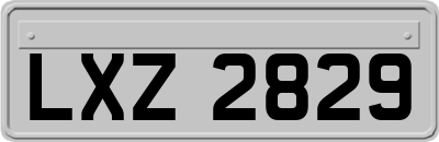 LXZ2829