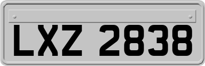 LXZ2838