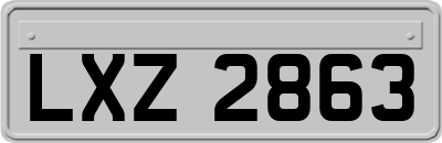 LXZ2863