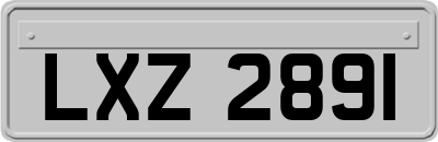 LXZ2891
