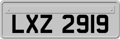 LXZ2919
