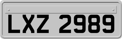 LXZ2989