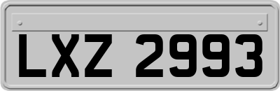 LXZ2993