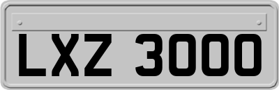 LXZ3000