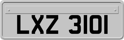 LXZ3101
