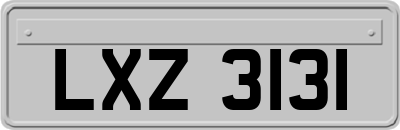 LXZ3131
