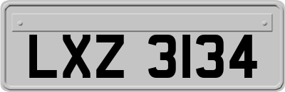 LXZ3134
