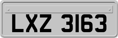 LXZ3163