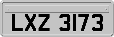 LXZ3173