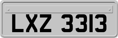 LXZ3313
