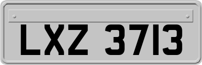LXZ3713