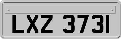 LXZ3731
