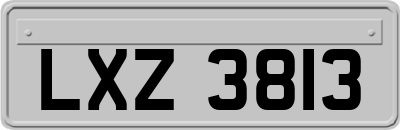 LXZ3813