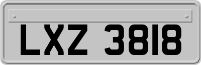 LXZ3818