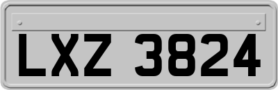 LXZ3824