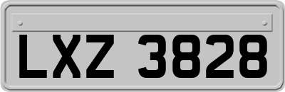 LXZ3828