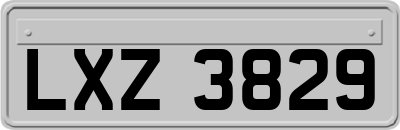 LXZ3829