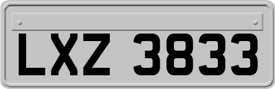 LXZ3833